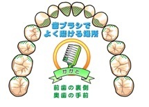 右.jpg
